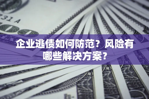 武汉企业逃债如何防范？风险有哪些解决方案？