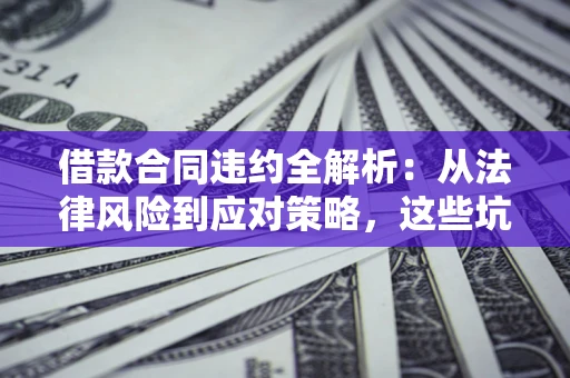 武汉借款合同违约全解析：从法律风险到应对策略，这些坑别再踩！