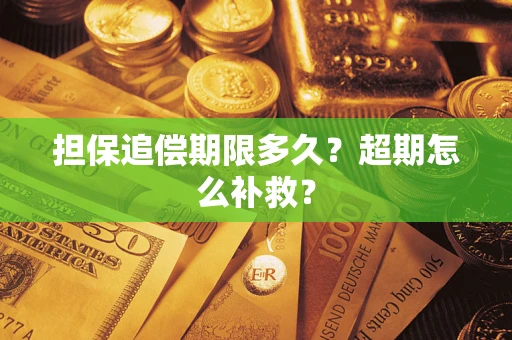 武汉担保追偿期限多久？超期怎么补救？