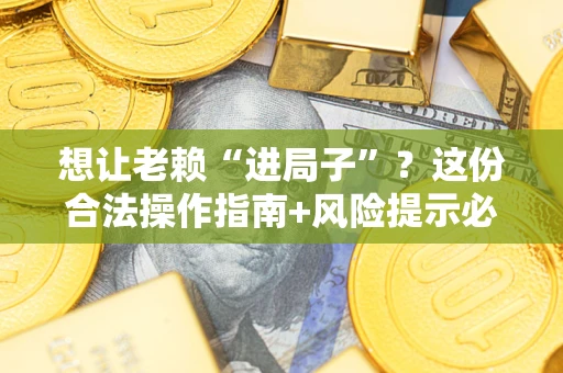 武汉想让老赖“进局子”？这份合法操作指南+风险提示必须看！