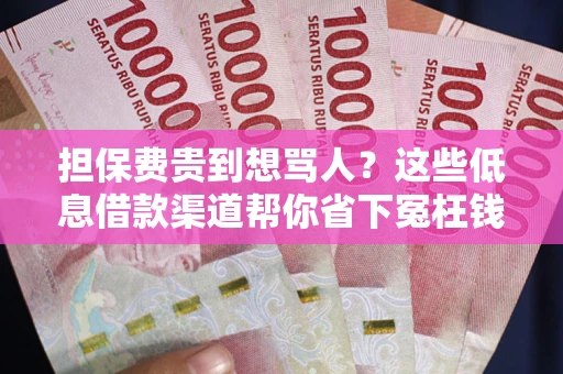 武汉担保费贵到想骂人？这些低息借款渠道帮你省下冤枉钱