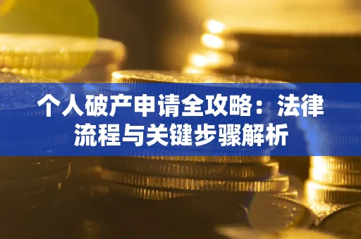 武汉个人破产申请全攻略：法律流程与关键步骤解析